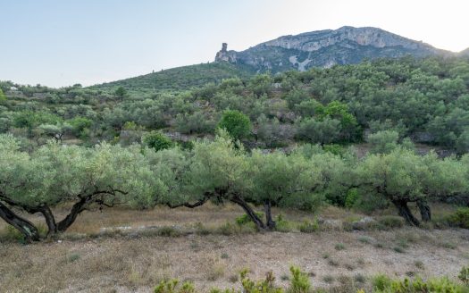 Property near the village (259)