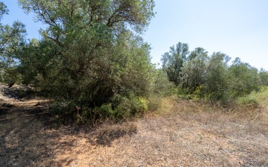 Land clearing work (253)