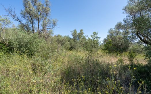 Land clearing work (253)