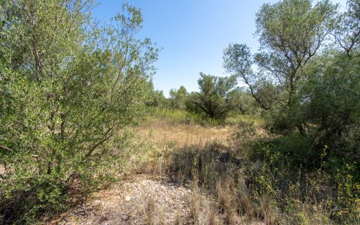Land clearing work (253)