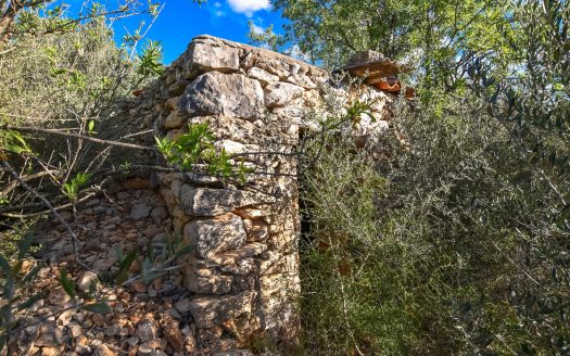 Finca rústica en un turó (262)