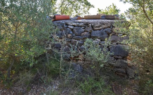 Finca rústica en un turó (262)