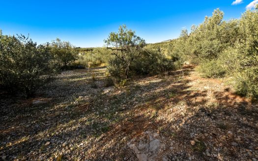 Finca rústica en un turó (262)
