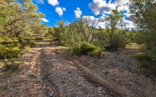 Finca rústica en un turó (262)