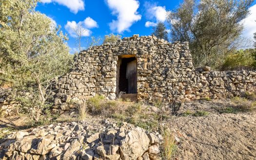 Finca rústica en un turó (262)