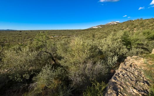 Finca rústica en un turó (262)