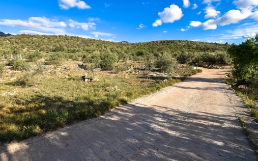 Finca rústica en un turó (262)