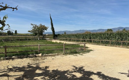 Estate ready for horses (256)