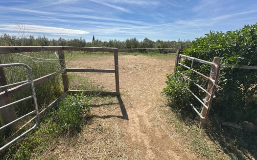 Estate ready for horses (256)
