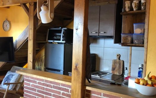 Estate ready for horses (256)