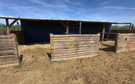 Estate ready for horses (256)