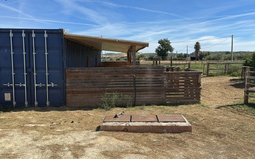 Estate ready for horses (256)