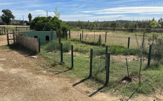Estate ready for horses (256)