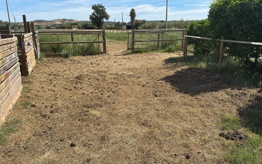 Estate ready for horses (256)