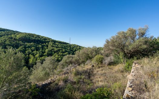 Per sobre de tot (277)