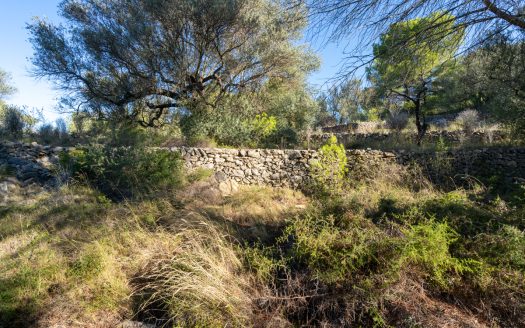 Per sobre de tot (277)