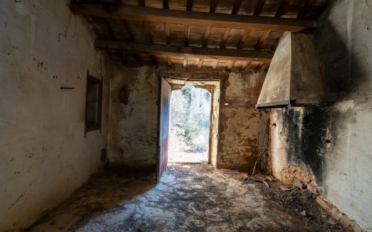 Per sobre de tot (277)