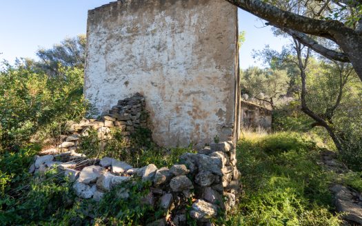 Per sobre de tot (277)