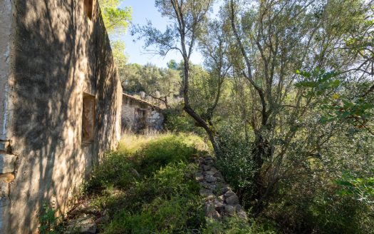 Per sobre de tot (277)