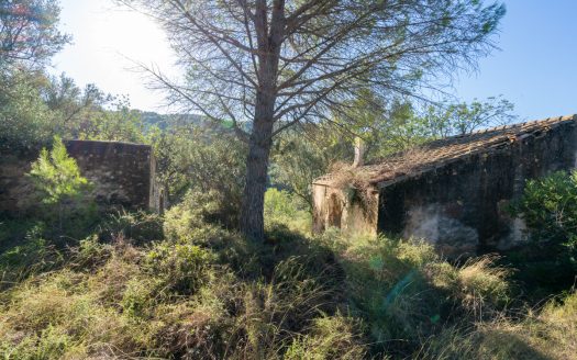 Per sobre de tot (277)