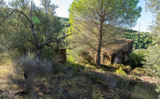 Per sobre de tot (277)