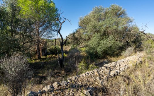 Per sobre de tot (277)