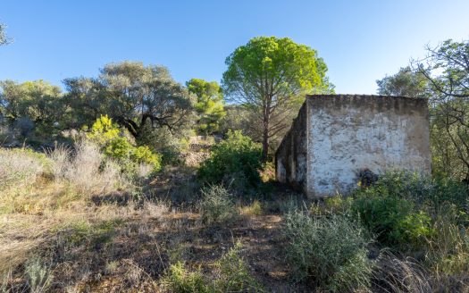 Per sobre de tot (277)