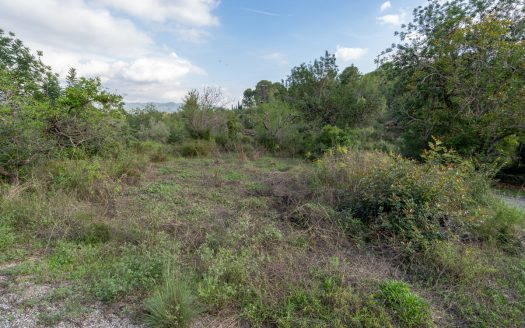 Three pieces of land (278)