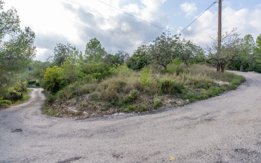 Three pieces of land (278)