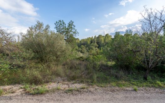 Three pieces of land (278)