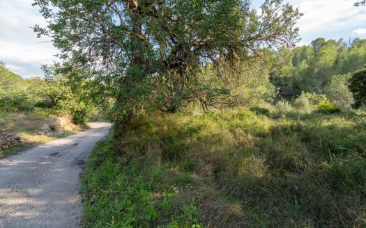 Three pieces of land (278)