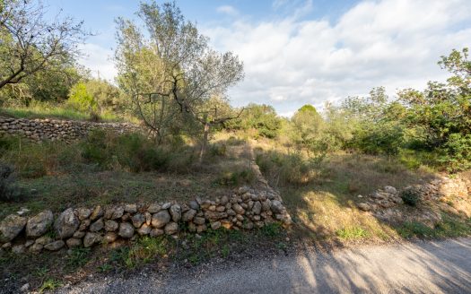 Three pieces of land (278)