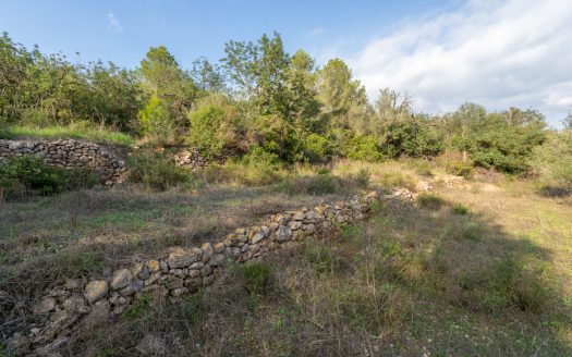 Three pieces of land (278)