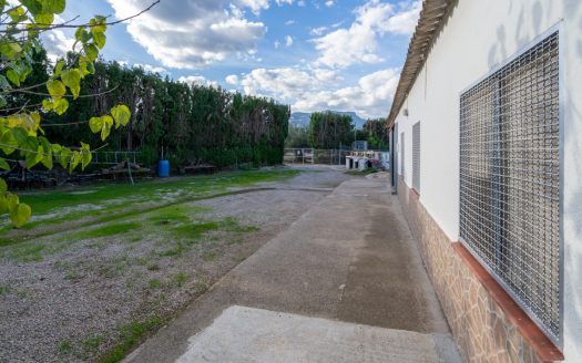Alguna cosa especial (283)