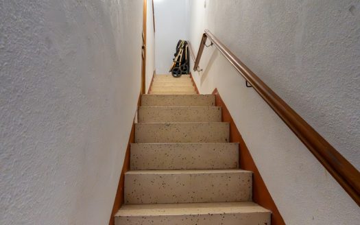 House with great potential (291)