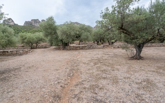 Prop del parc natural (288)
