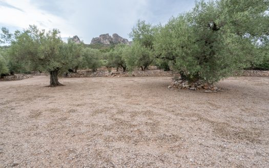 Prop del parc natural (288)
