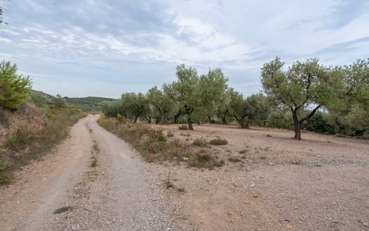Prop del parc natural (288)