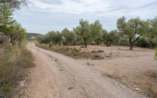 Prop del parc natural (288)