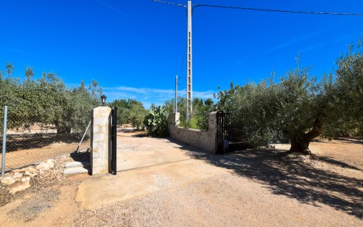 Country house with electricity and water (282)