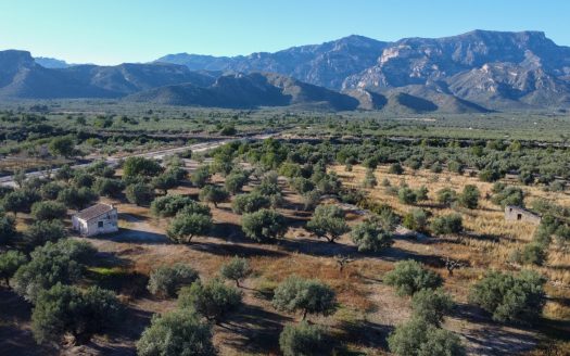 Petita masia per a reformar (295)