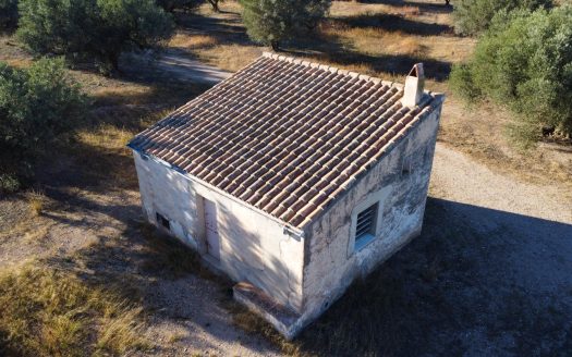 Petita masia per a reformar (295)