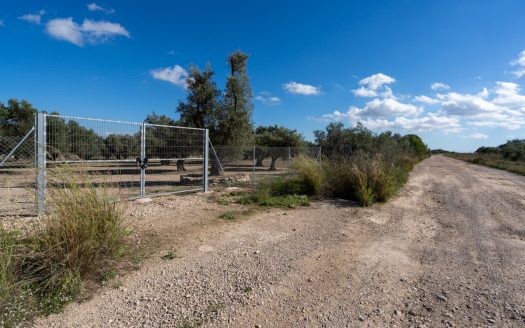 Petita masia per a reformar (295)