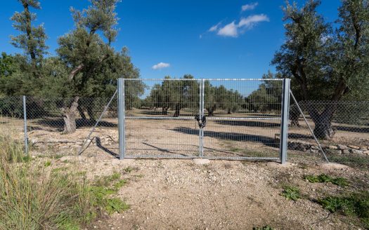 Petita masia per a reformar (295)