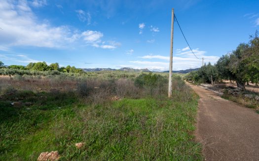 A peu de carretera (297)