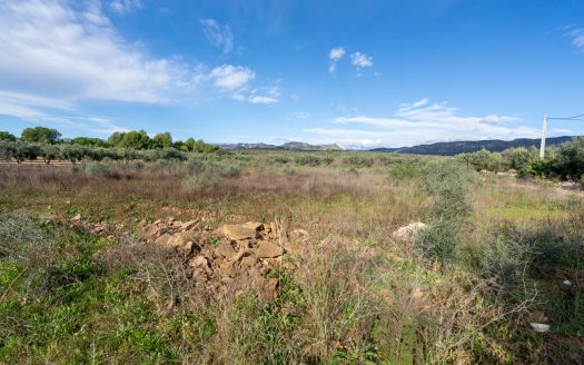 A peu de carretera (297)