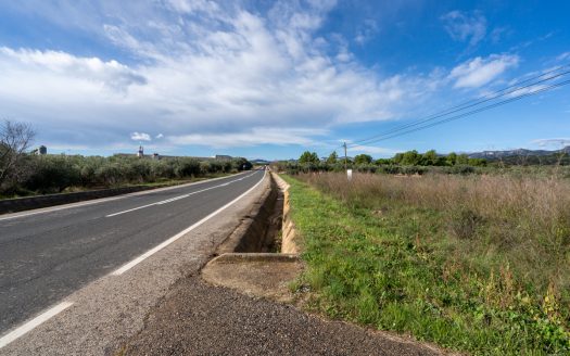 A peu de carretera (297)