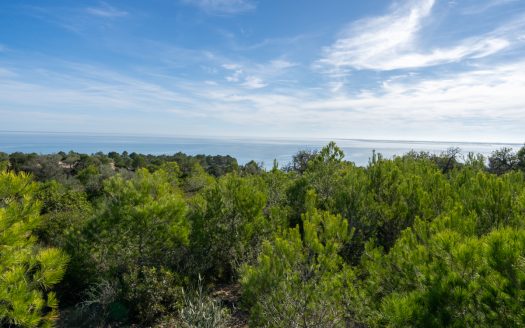 One step away from the sea (299)