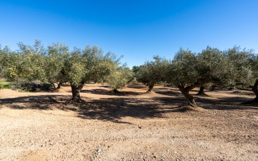 A villa and country house for sale in Campredó (301)