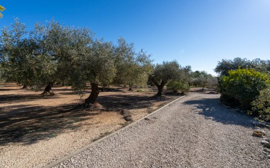 A villa and country house for sale in Campredó (301)